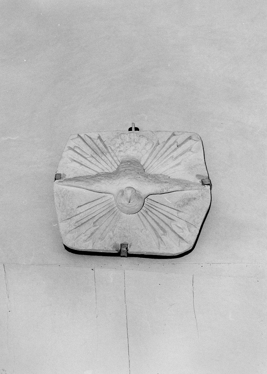 colomba dello Spirito Santo (rilievo) - bottega pisana (seconda metà sec. XVIII)