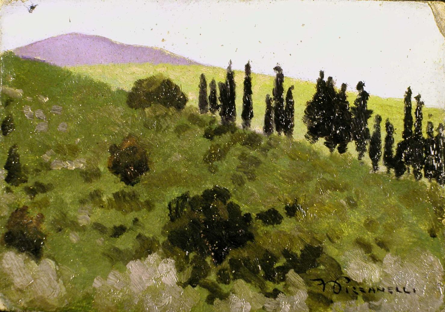 Monti pisani, veduta (dipinto, opera isolata) di Pizzanelli Ferruccio (prima metà sec. XX)