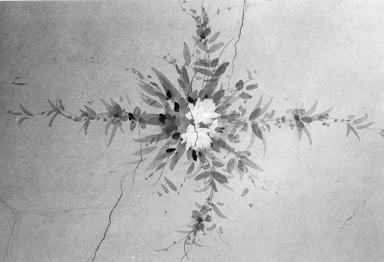 motivi decorativi vegetali (dipinto, complesso decorativo) - ambito toscano (sec. XIX)