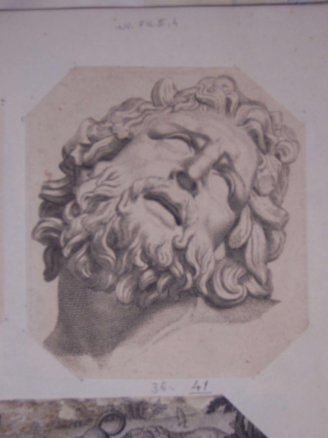 testa di Laoconte (stampa) - ambito europeo (sec. XVII)