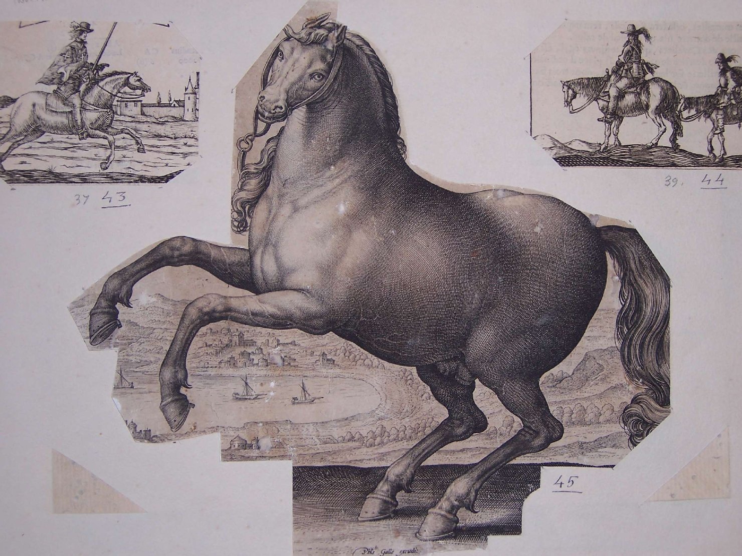 cavallo (stampa, frammento) di Galle Philipp (sec. XVII)