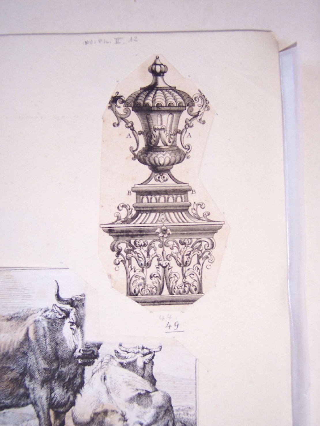 motivo decorativo: vaso (stampa, frammento) - ambito europeo (sec. XVIII)