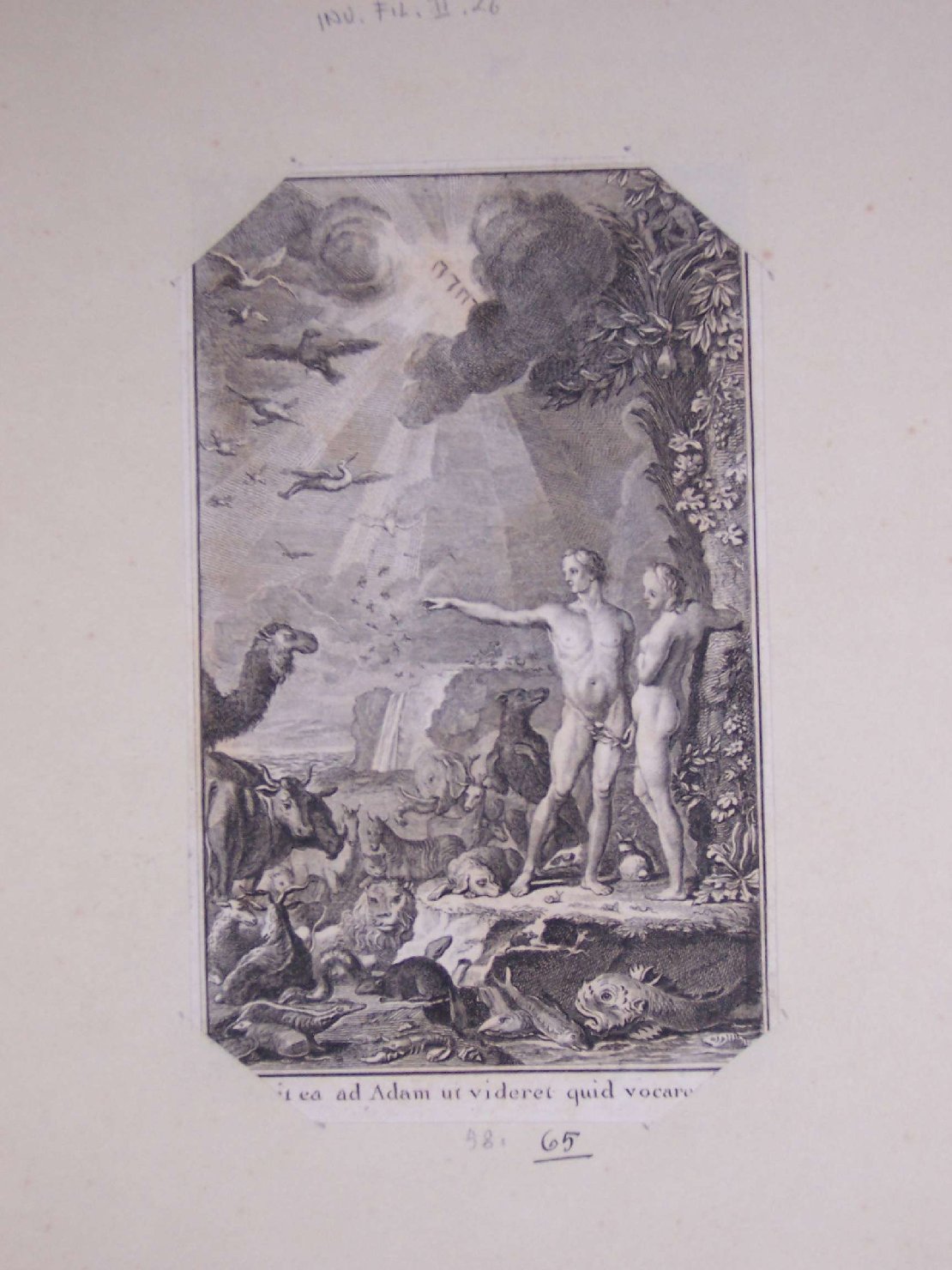 Adamo ed Eva nel paradiso terrestre (stampa) di Boily Charles Ange (sec. XVIII)