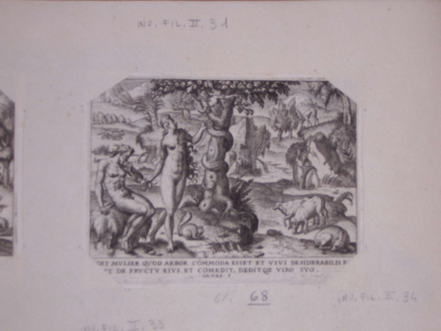 tentazione di Eva (stampa) - ambito europeo (sec. XVII)