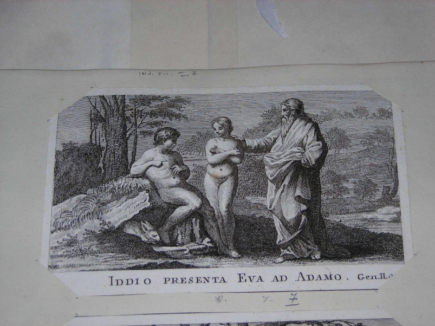 creazione di Eva (stampa) di Sanzio Raffaello, Dragon Demetrio (sec. XVIII)