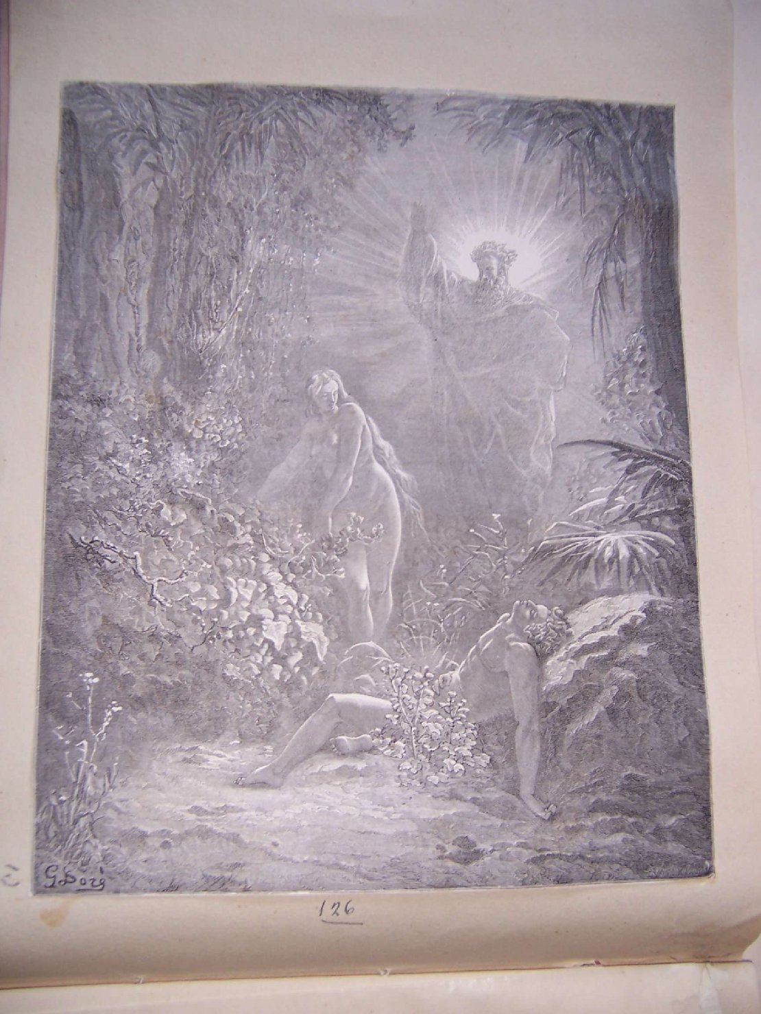 creazione di Eva (stampa) di Doré Gustave (sec. XIX)