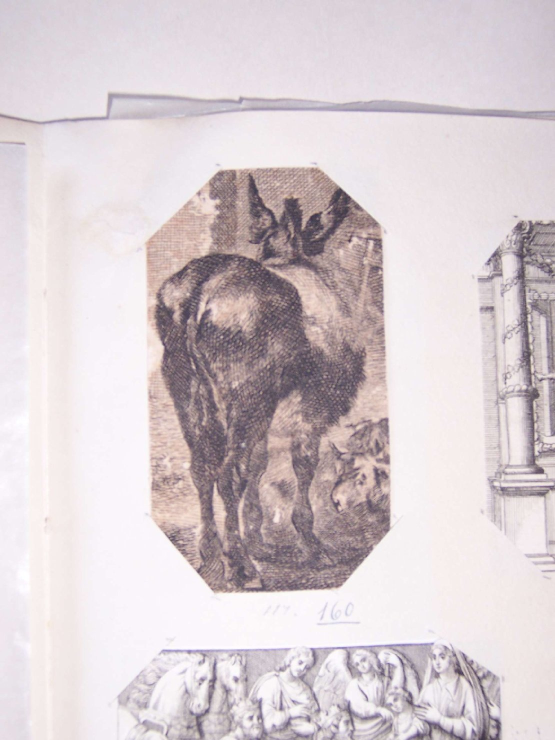 asino (stampa) - ambito europeo (sec. XVII)