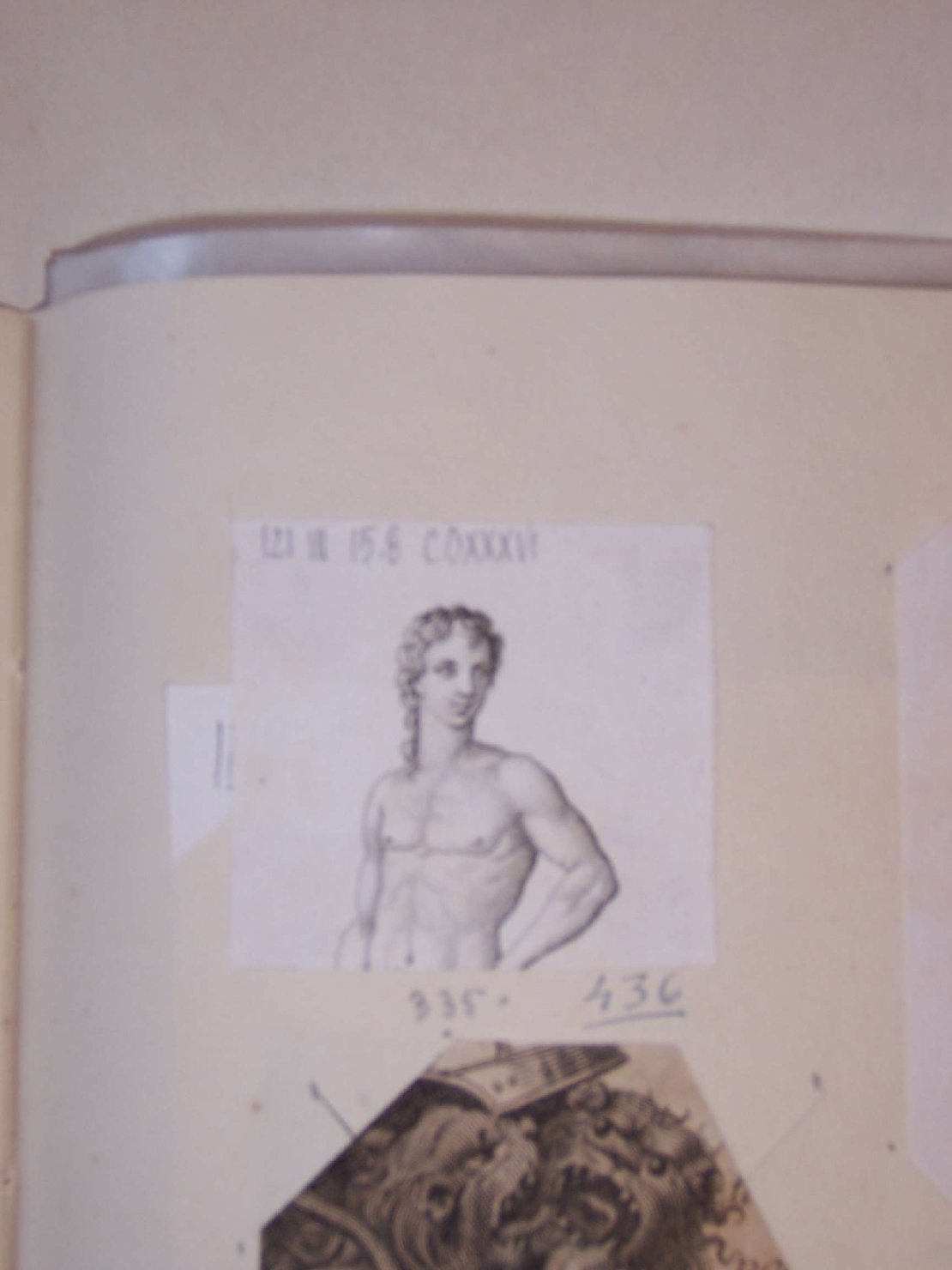 busto di uomo (stampa) - ambito italiano (sec. XIX)