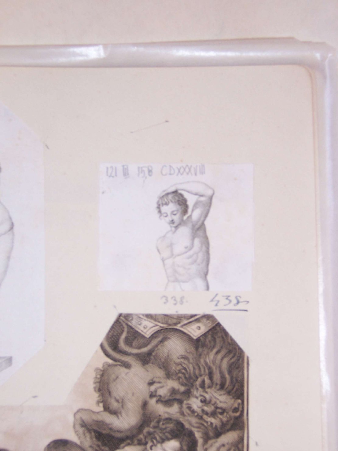 busto di uomo (stampa) - ambito italiano (sec. XIX)