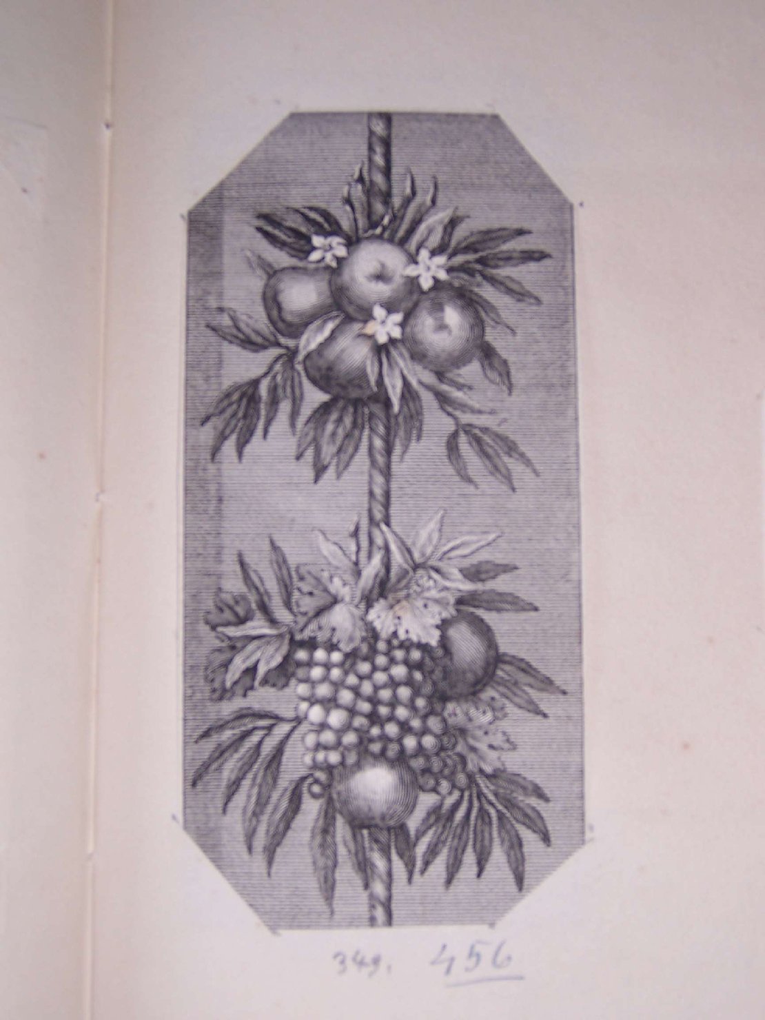 fregio (stampa) - ambito europeo (sec. XIX)