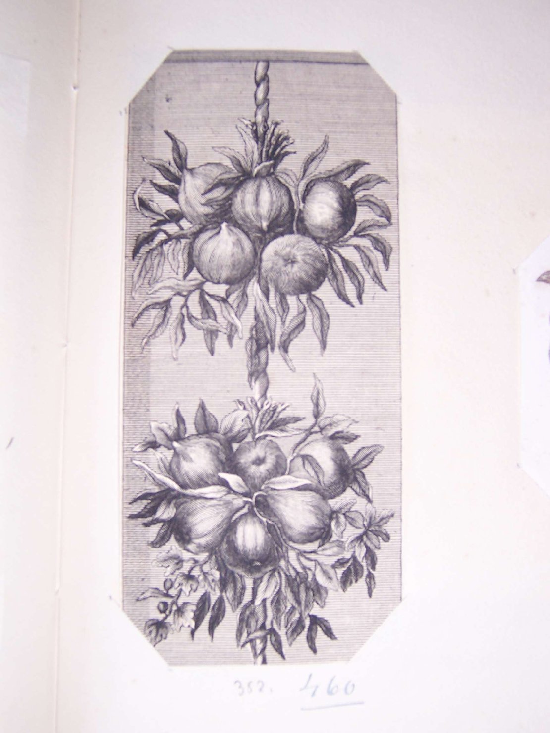 fregio (stampa) - ambito europeo (sec. XIX)