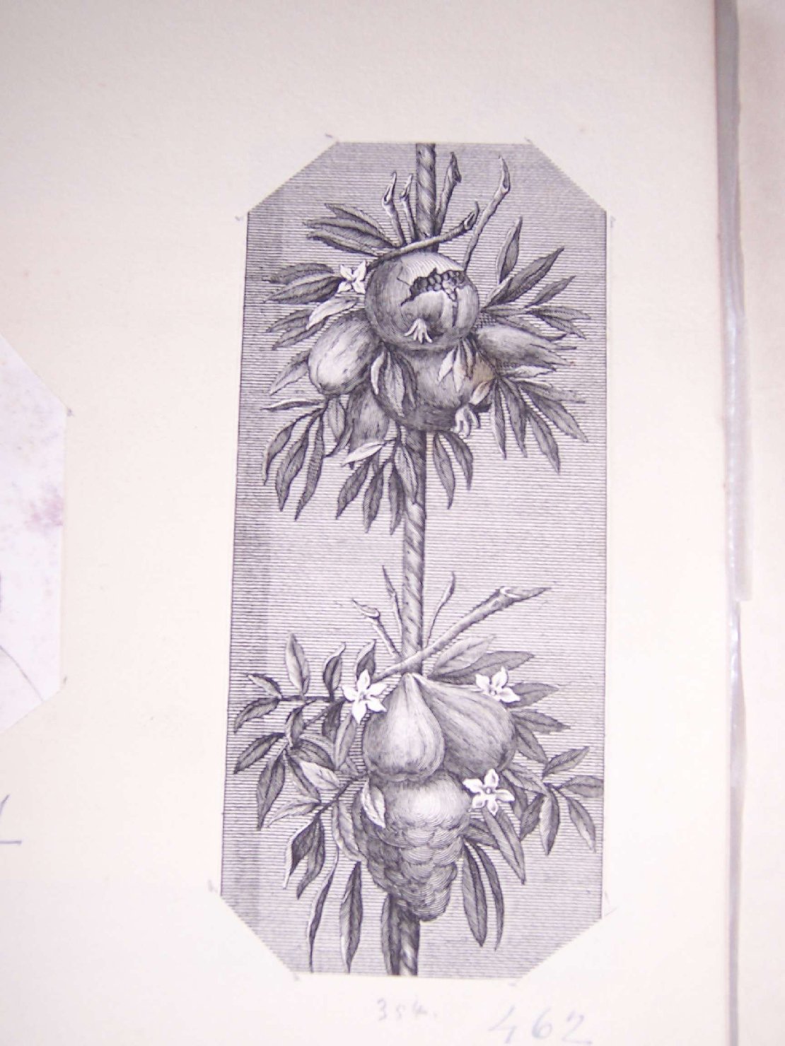 fregio (stampa) - ambito europeo (sec. XIX)