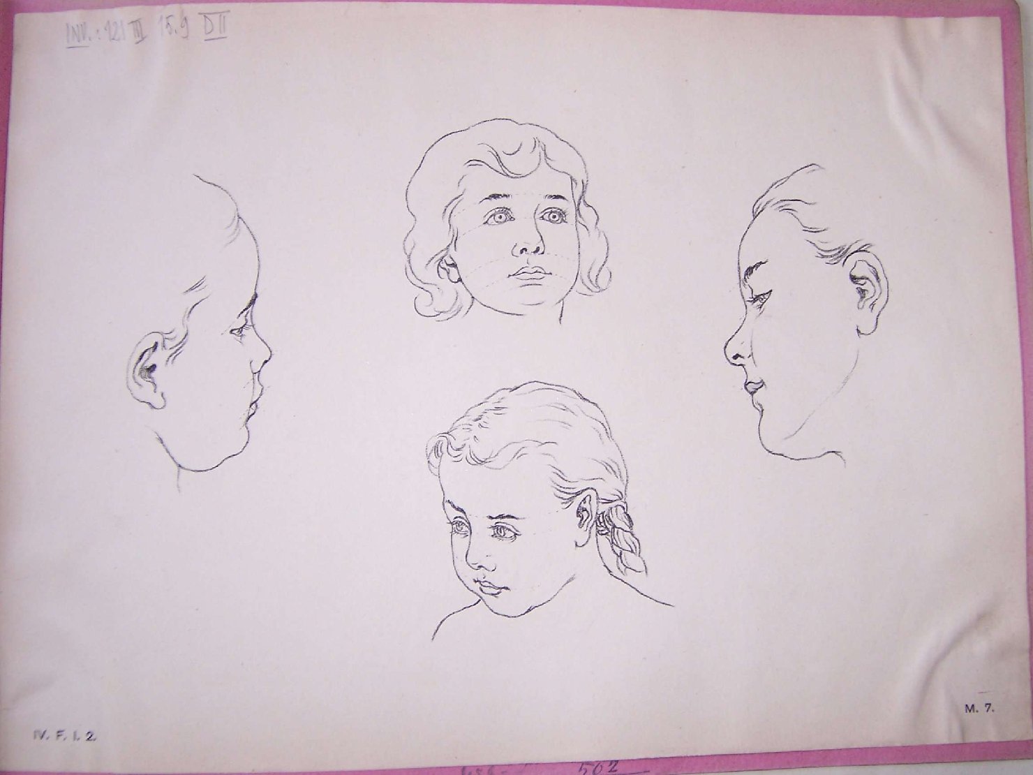 studi anatomici (stampa) - ambito europeo (sec. XIX)