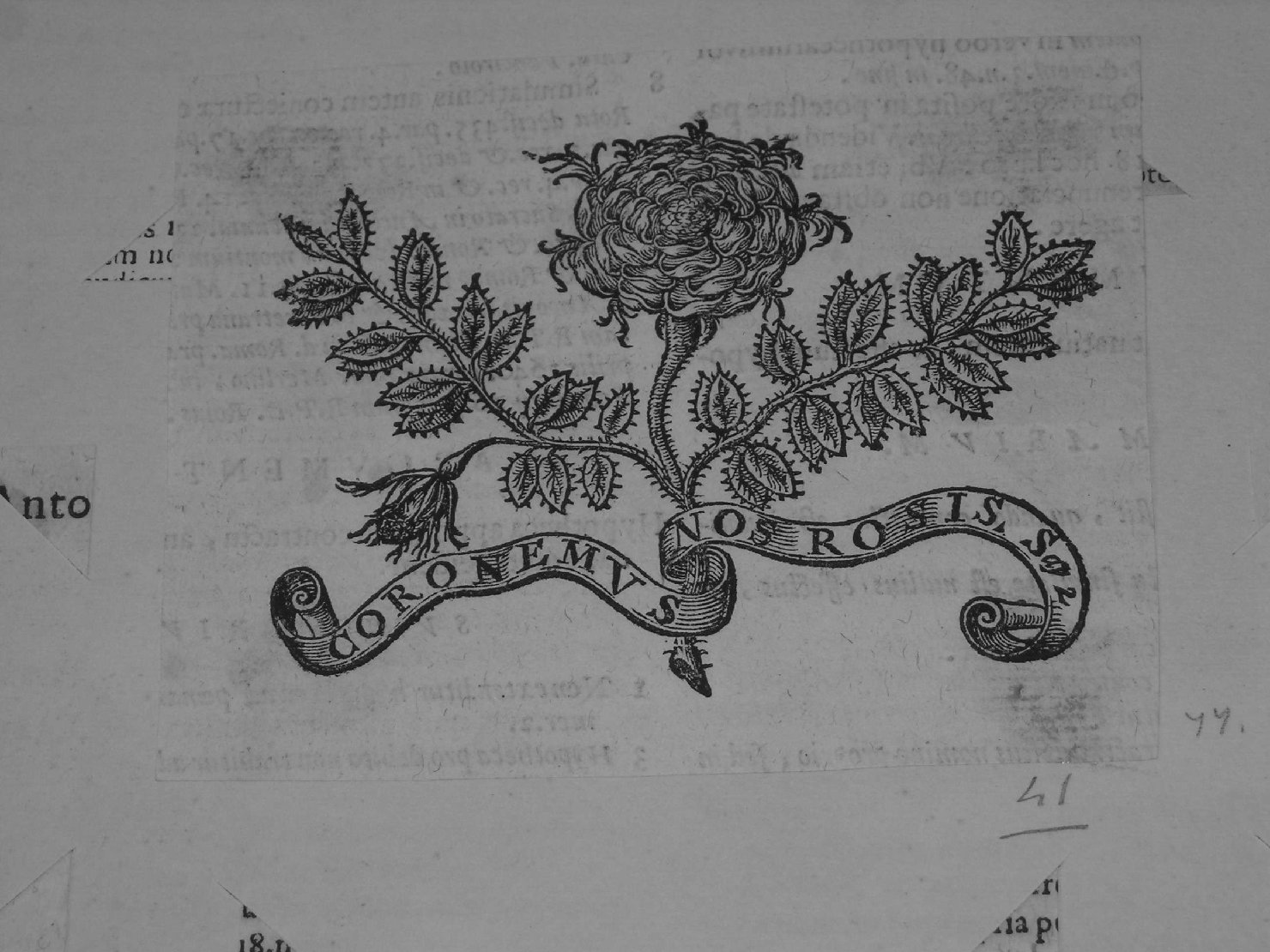 fregio (stampa) - ambito europeo (sec. XVII)