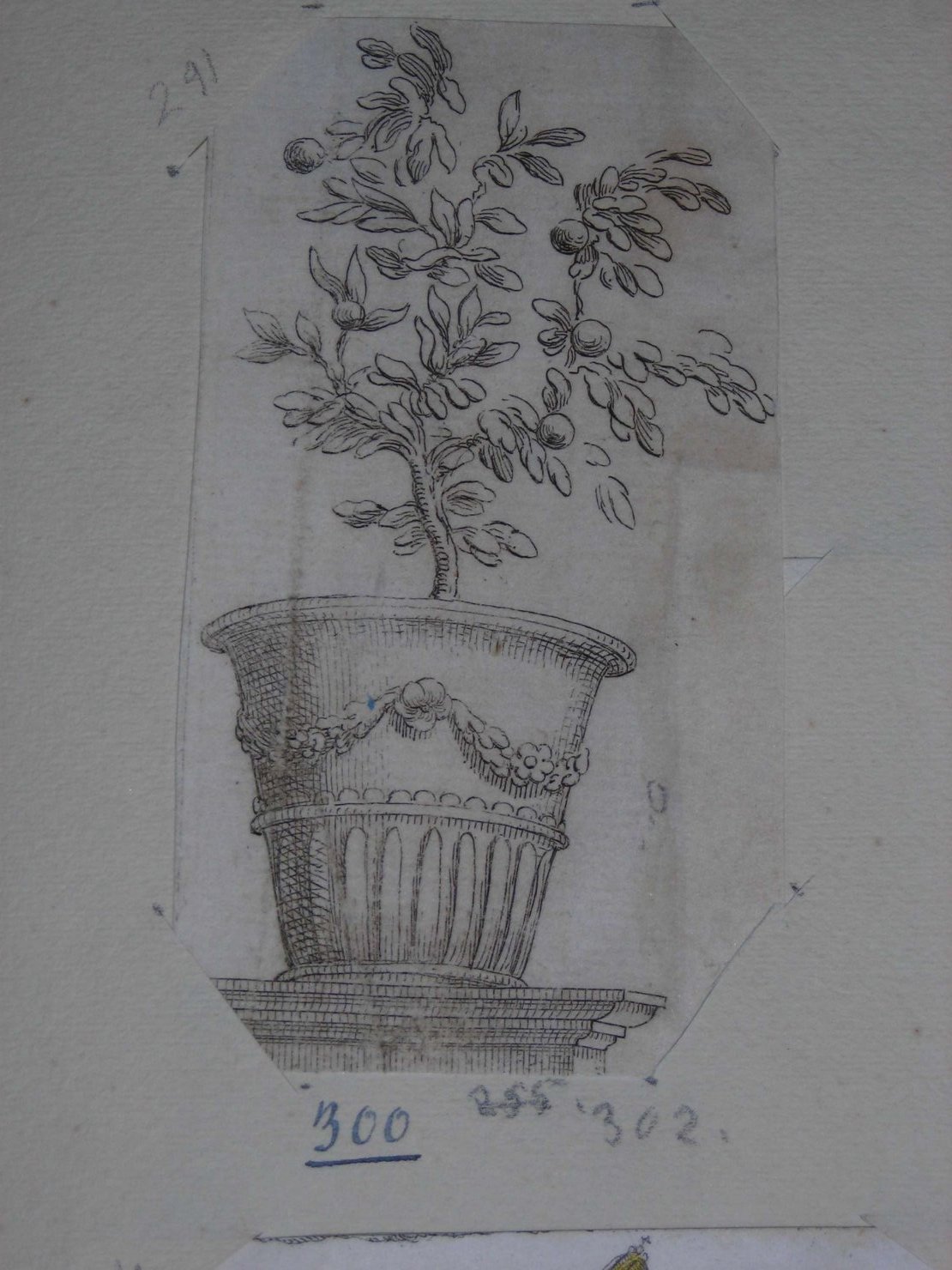 vaso con pianta (stampa) - ambito europeo (sec. XIX)