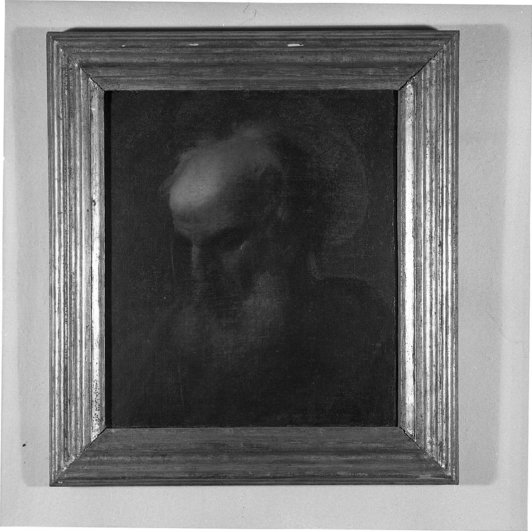 testa di santo (dipinto, frammento) - ambito italiano (sec. XVII)