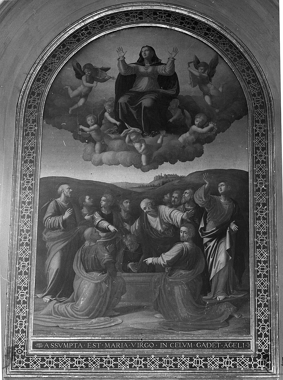 Madonna Assunta con angeli e apostoli (pala d'altare, opera isolata) di fra' Paolino (prima metà sec. XVI)