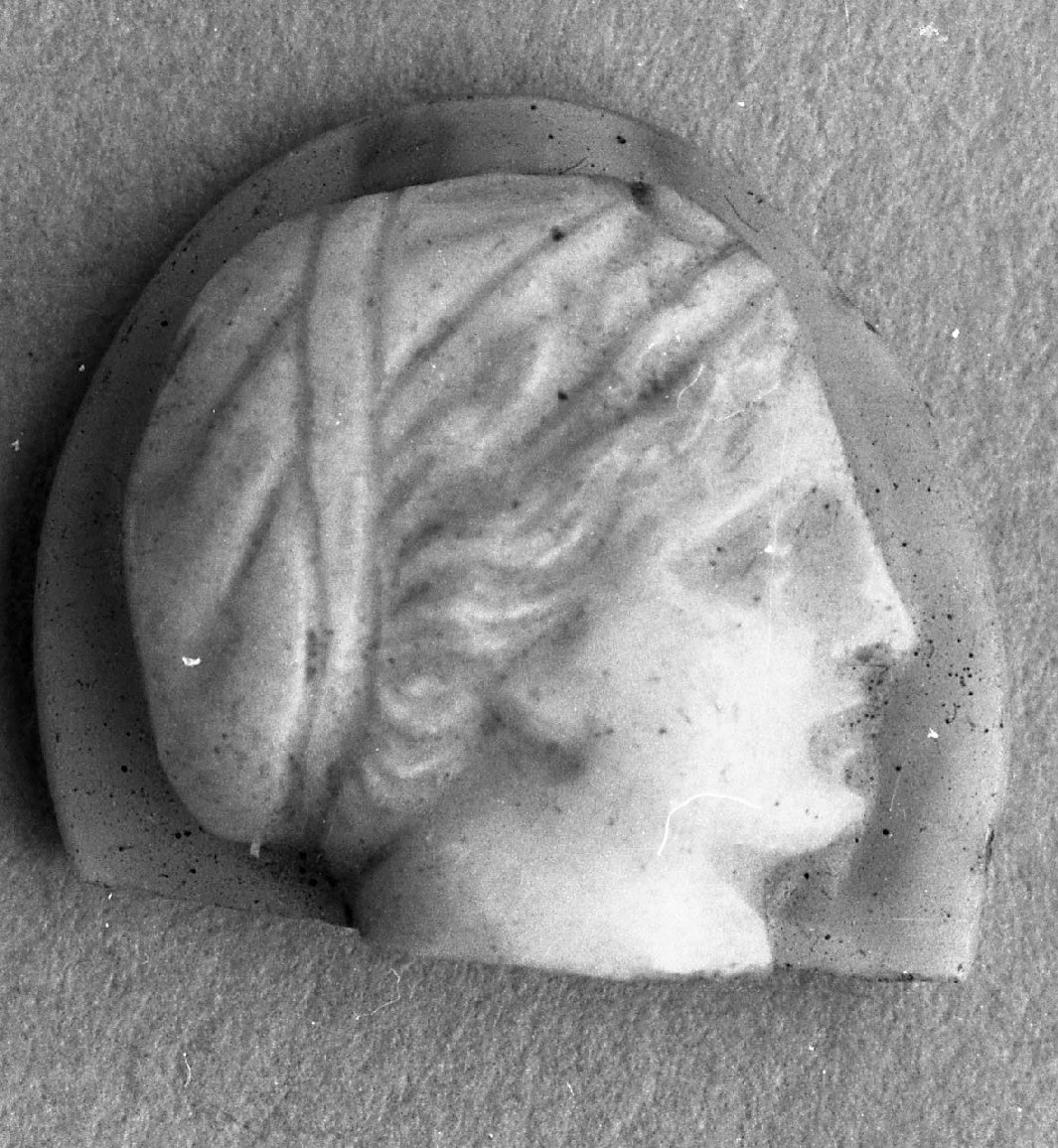 testa di donna (cammeo, opera isolata) - bottega greco-romana (sec. I a.C)