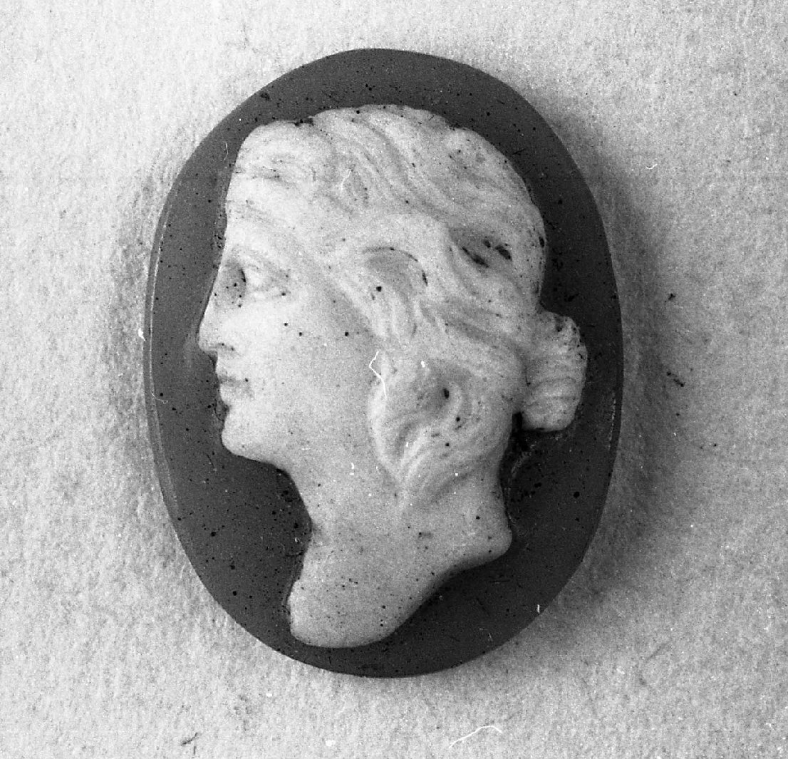 testa di donna (cammeo, opera isolata) - bottega italiana (sec. XVI)