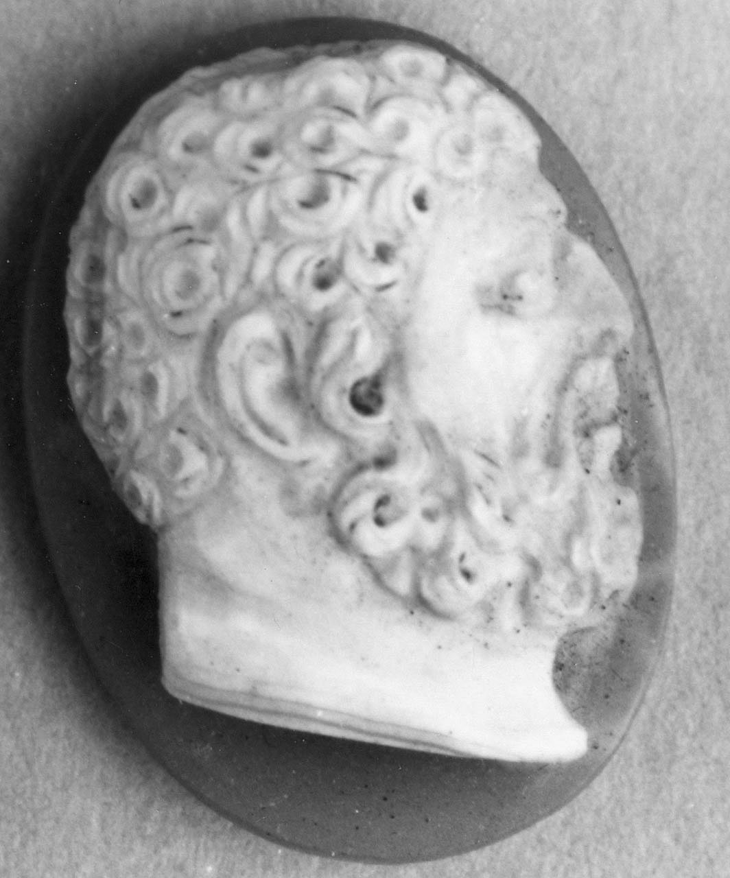 testa d'uomo con barba (cammeo, opera isolata) - bottega italiana (sec. XVI)