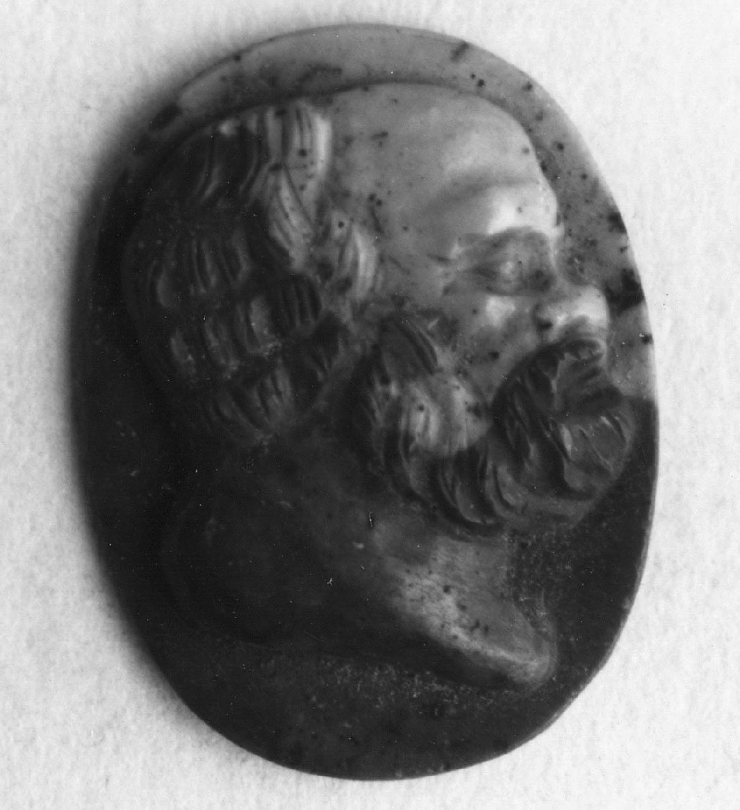 testa d'uomo con barba (cammeo, opera isolata) - bottega italiana (sec. XVIII)