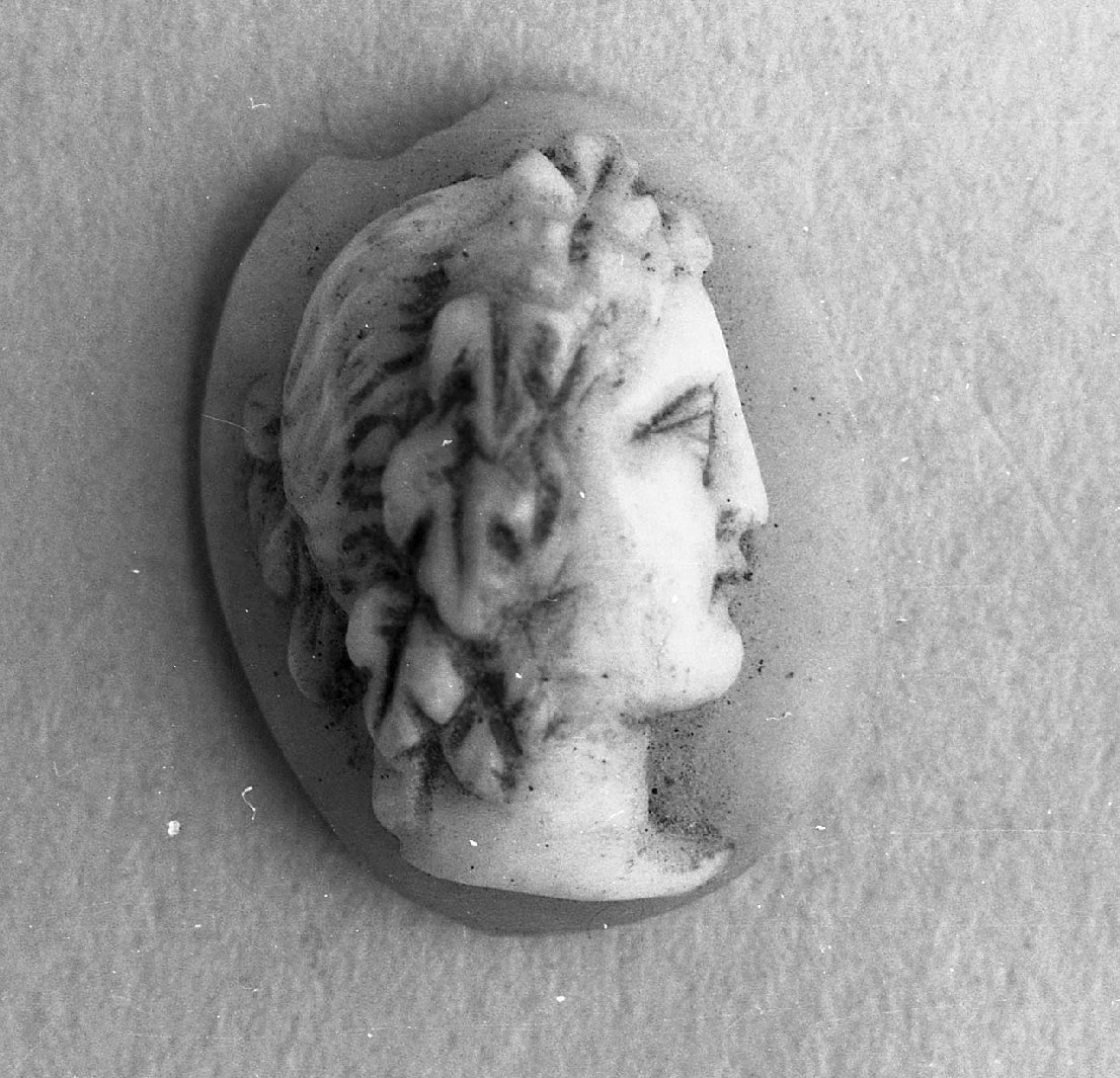 testa di donna (cammeo, opera isolata) - bottega italiana (sec. XVIII)