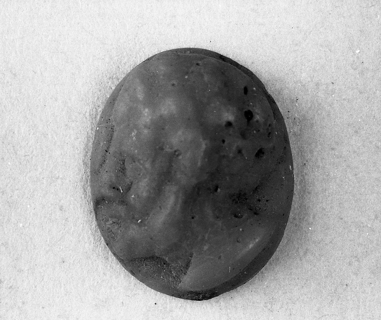 testa d'uomo con barba (cammeo, opera isolata) - bottega italiana (sec. XVI)