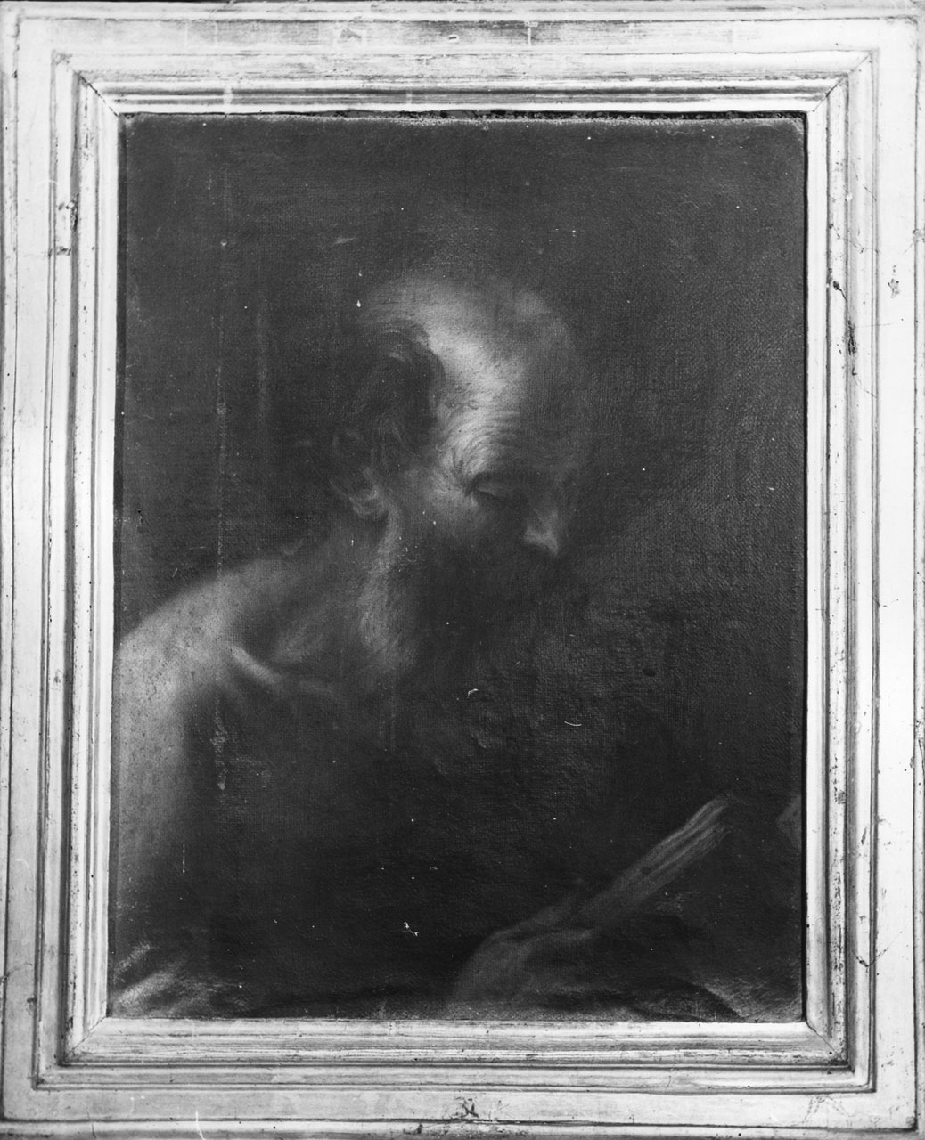 San Girolamo in meditazione (dipinto, opera isolata) - ambito toscano (sec. XVII)