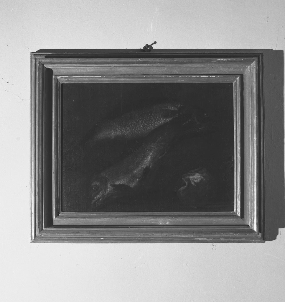 natura morta con pesci (dipinto, opera isolata) di Recco Giuseppe (scuola) (fine sec. XVII)