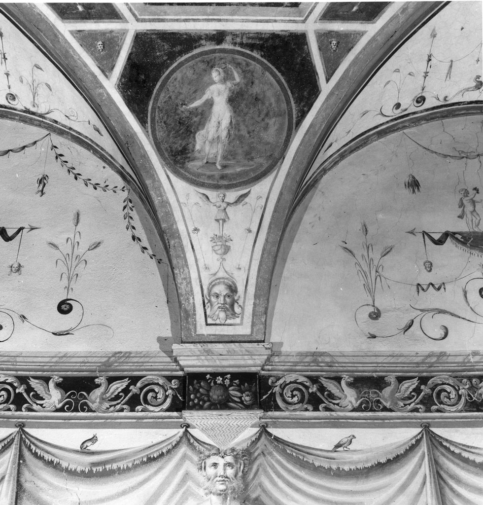 grottesche (dipinto, ciclo) di Bernabei Tommaso detto Papacello (scuola) (metà sec. XVI)
