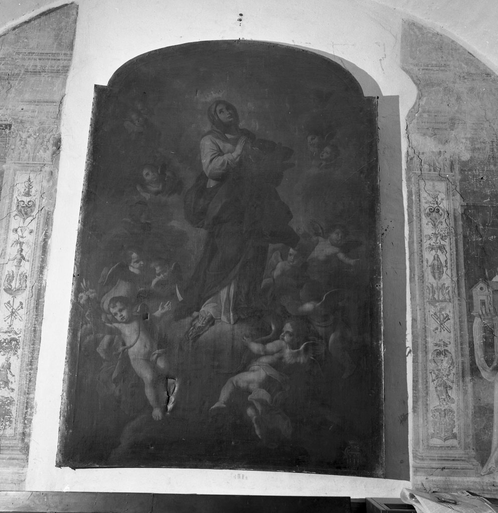 Immacolata Concezione (dipinto) di Gambacciani Francesco (sec. XVIII)