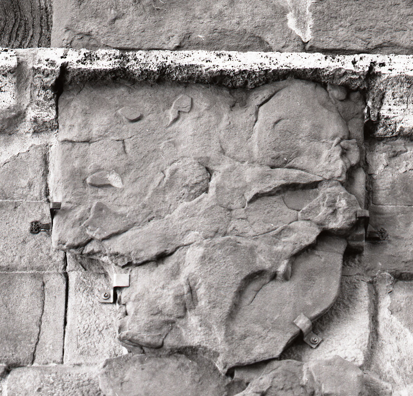 stemma gentilizio (scultura, opera isolata) - bottega toscana (prima metà sec. XVI)