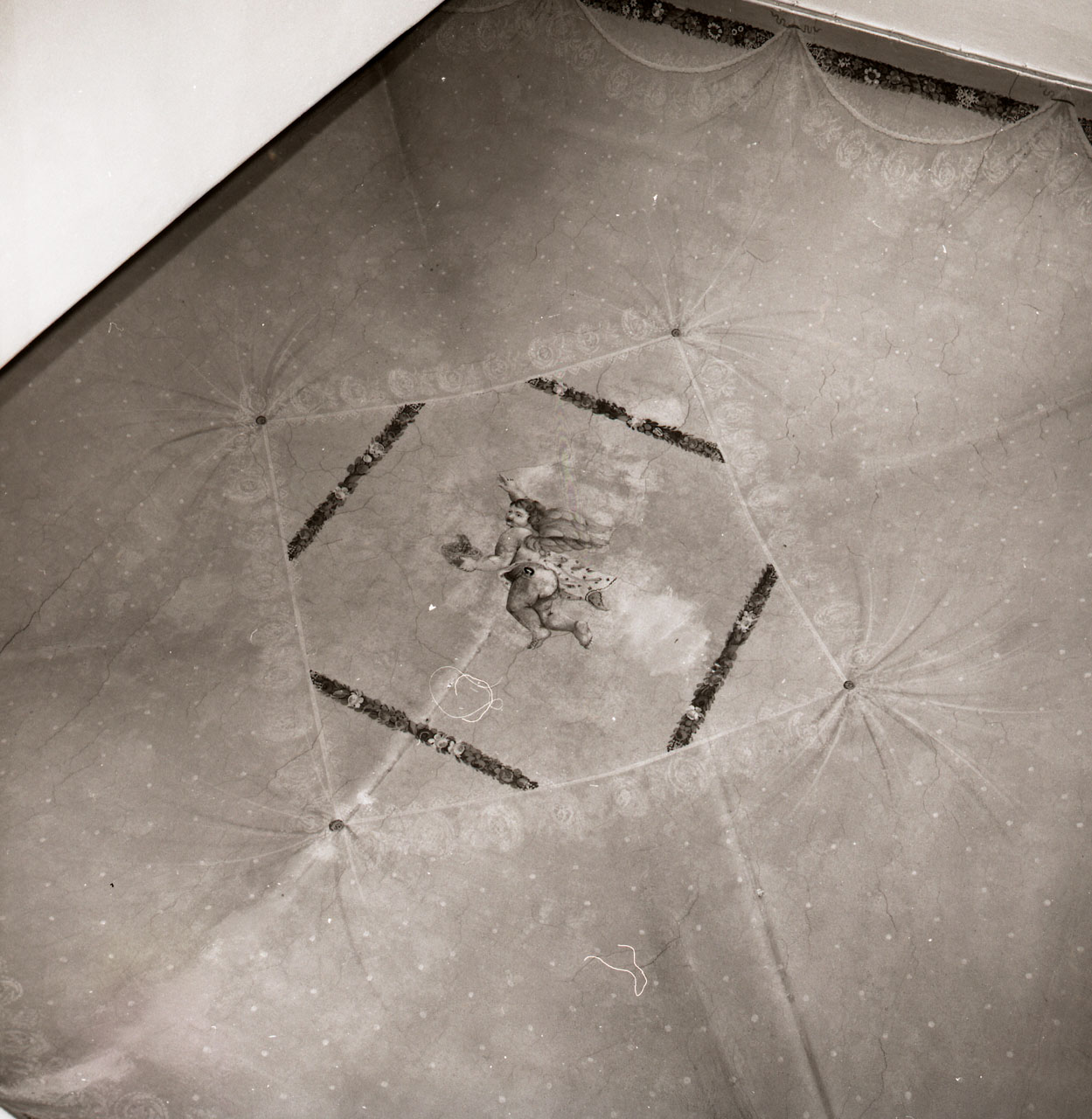 putto alato (dipinto, opera isolata) - ambito aretino (ultimo quarto sec. XIX)