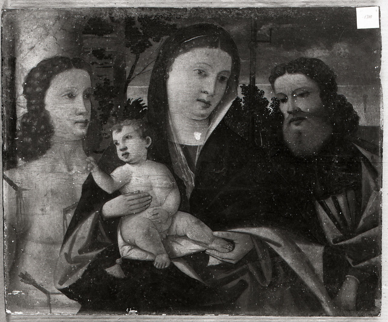 Madonna con Bambino e Santi (dipinto) di De Pitati Bonifacio detto Bonifacio Veronese (scuola) (prima metà sec. XVI)