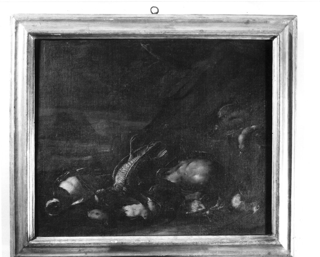 natura morta (dipinto) - ambito fiammingo (seconda metà sec. XVIII)