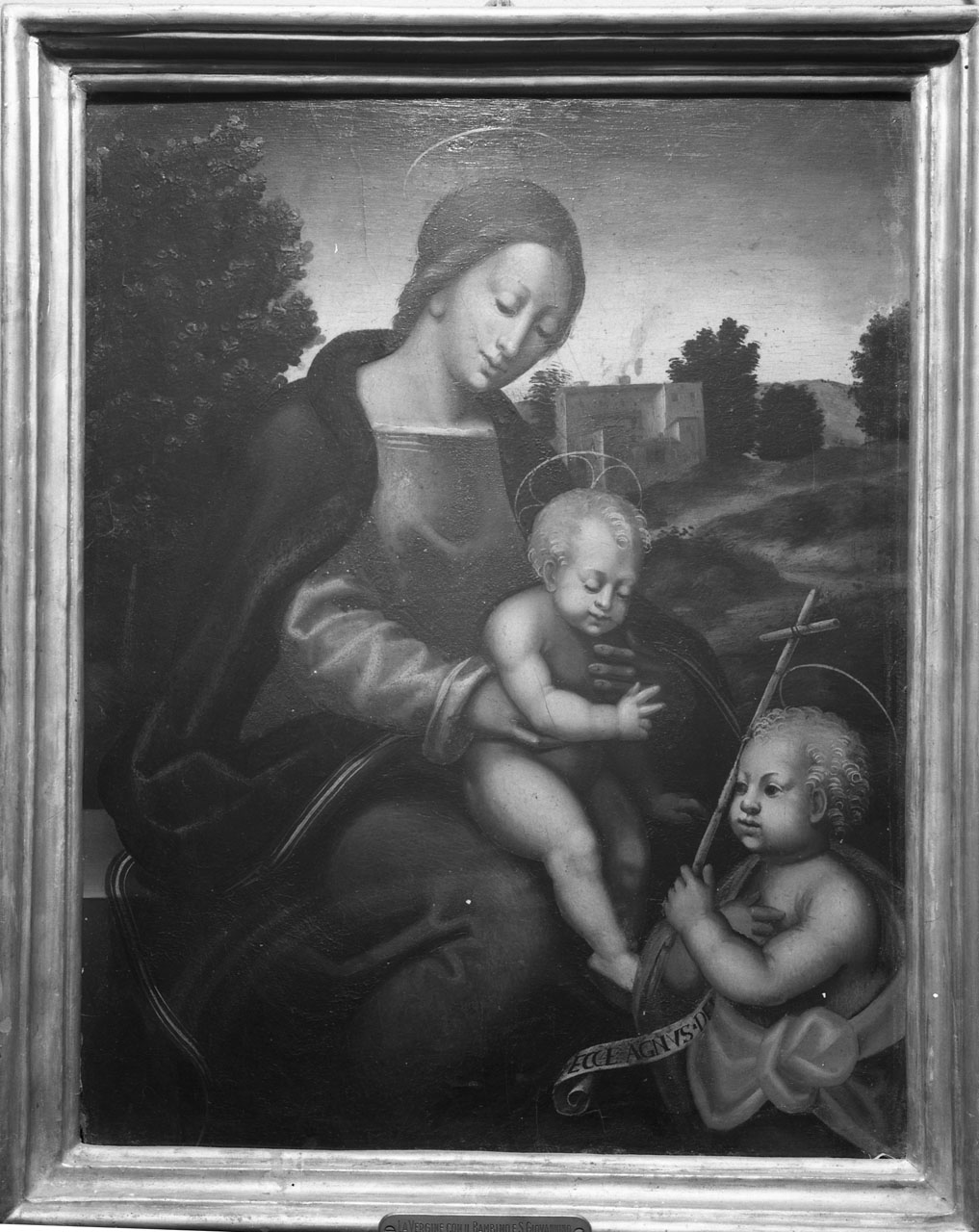 Madonna con Bambino e San Giovannino (dipinto, opera isolata) - ambito fiorentino (primo quarto sec. XVI)