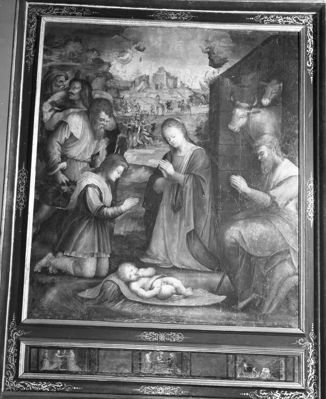 adorazione dei pastori (dipinto, opera isolata) di Mazzieri Antonio di Donnino detto Antonio di Donnino del Mazziere (attribuito) (sec. XVI)