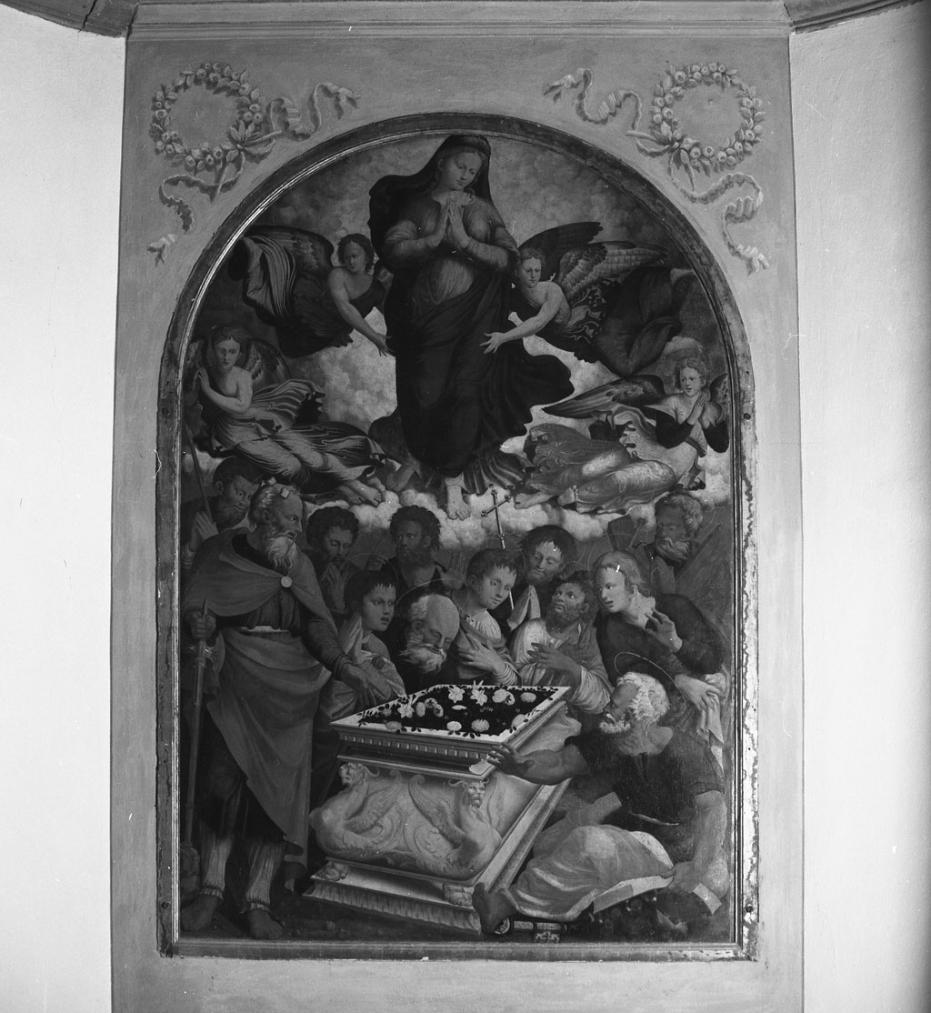 assunzione della Madonna (dipinto) di Bernabei Tommaso detto Papacello (attribuito) (sec. XVI)