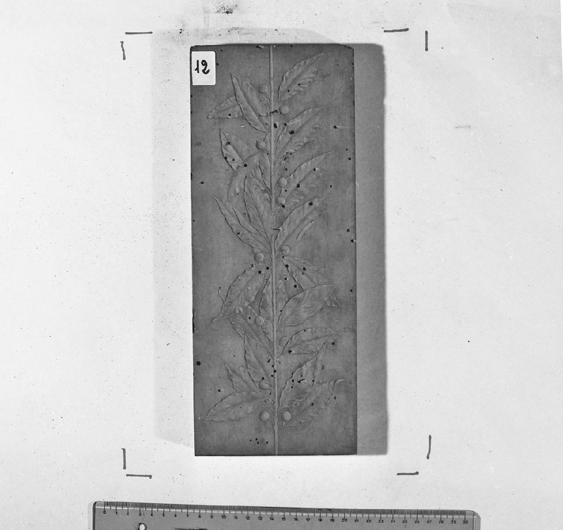 stampo di Danelon Luigi (secc. XIX/ XX)