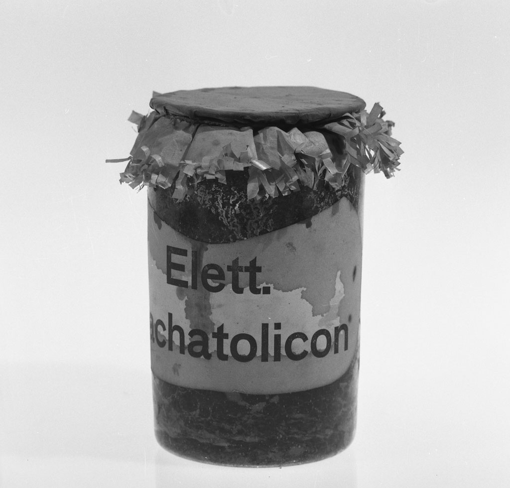 barattolo - bottega toscana (sec. XVIII)