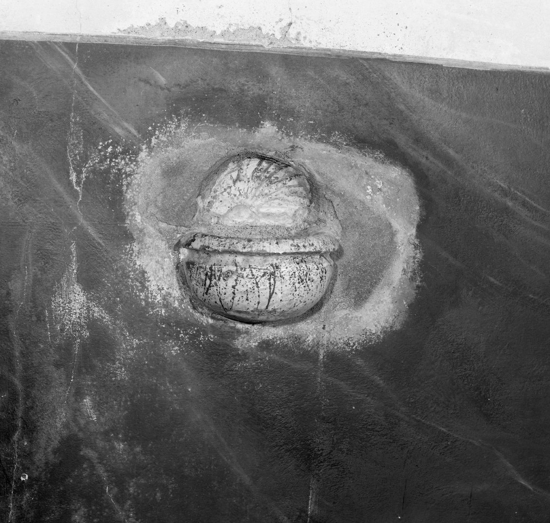 acquasantiera da parete - bottega italiana (sec. XV)