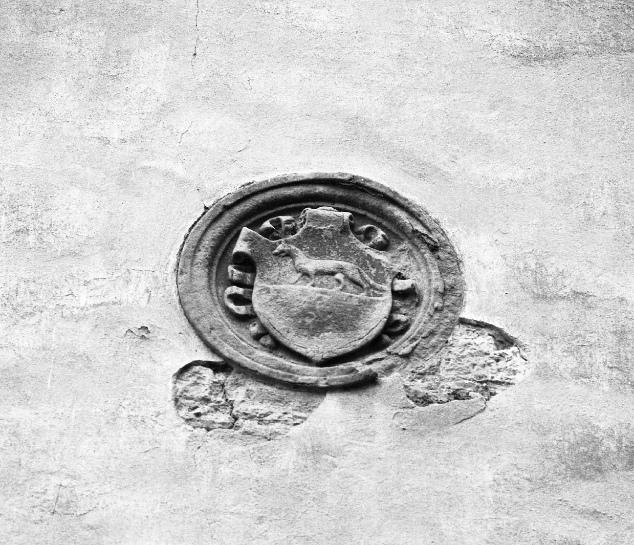 stemma (rilievo) - bottega toscana (secc. XVI/ XVIII)