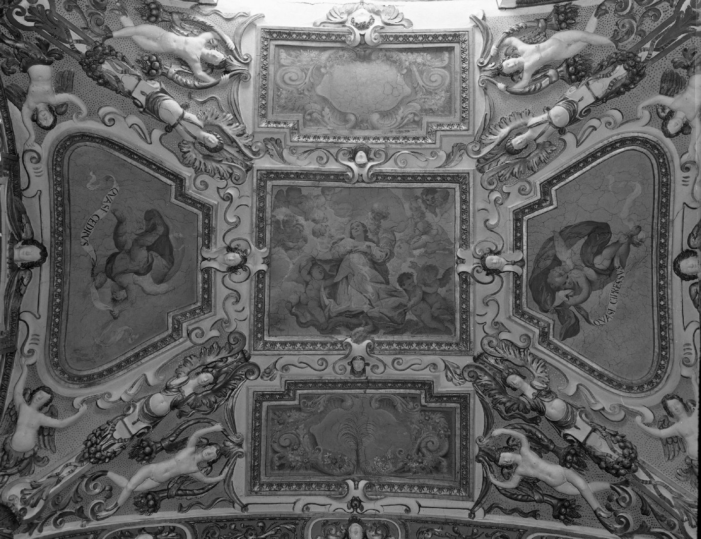 decorazione pittorica, complesso decorativo di Rolli Antonio, Rolli Giuseppe Maria (seconda metà sec. XVII)