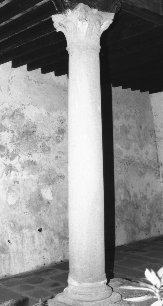 colonna - bottega toscana (secc. XV/ XVI)