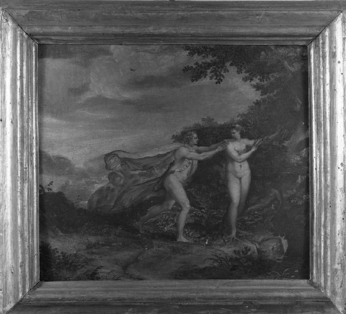 Apollo e Dafne (dipinto) - ambito emiliano (seconda metà sec. XVI)