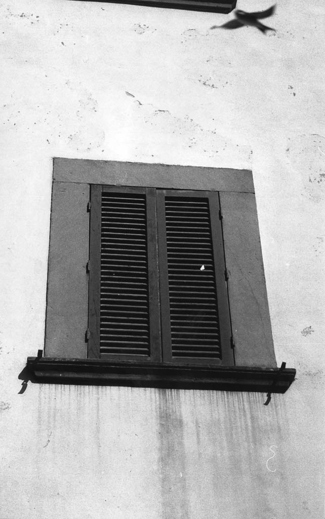 mostra di finestra, serie - bottega aretina (sec. XVIII)