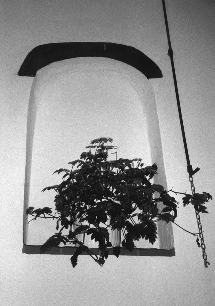 nicchia - bottega toscana (sec. XIV)