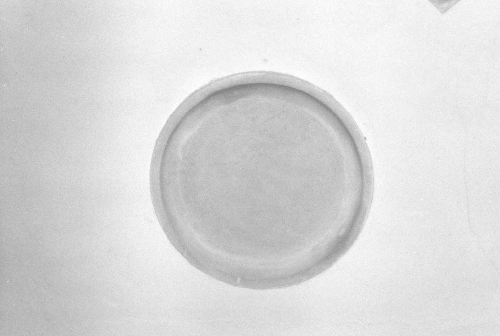 patera - bottega aretina (sec. XIX)