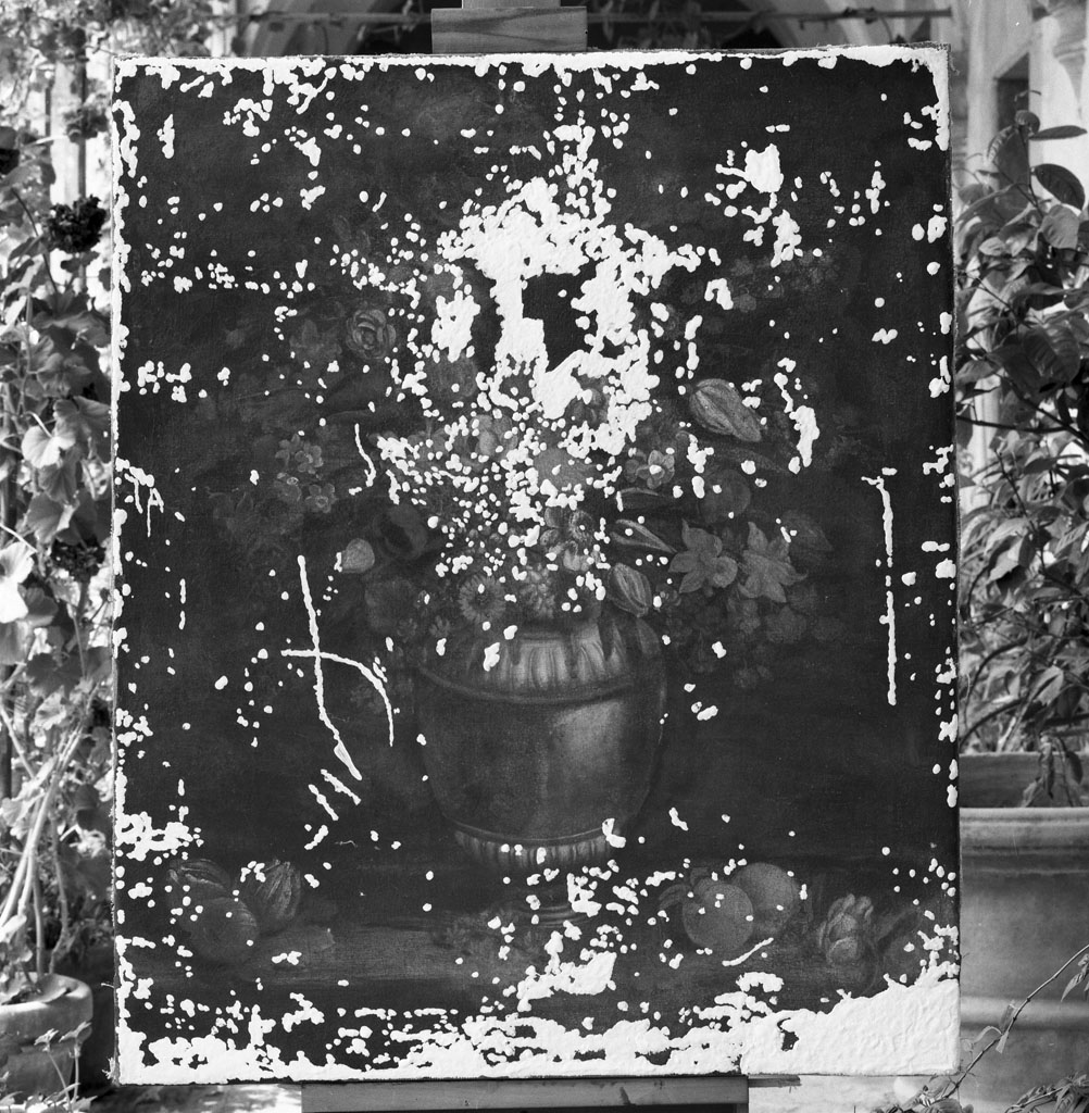 natura morta (dipinto) - ambito toscano (sec. XVII)