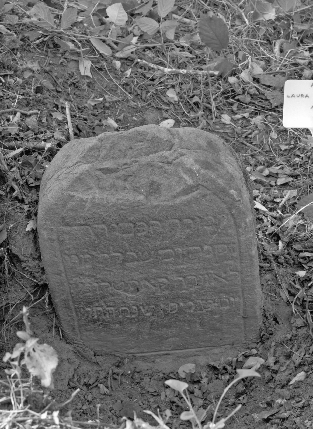 stele funeraria - bottega toscana (sec. XVIII)